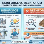 Reinforce vs Reenforce Correct Spelling Explained Simply